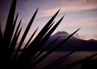 Lake Atitlán view at dusk with volcano and native plants, capturing the natural magic and serene beauty of the landscape.